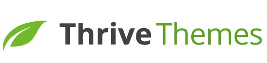 The sun is setting behind a tall cactus